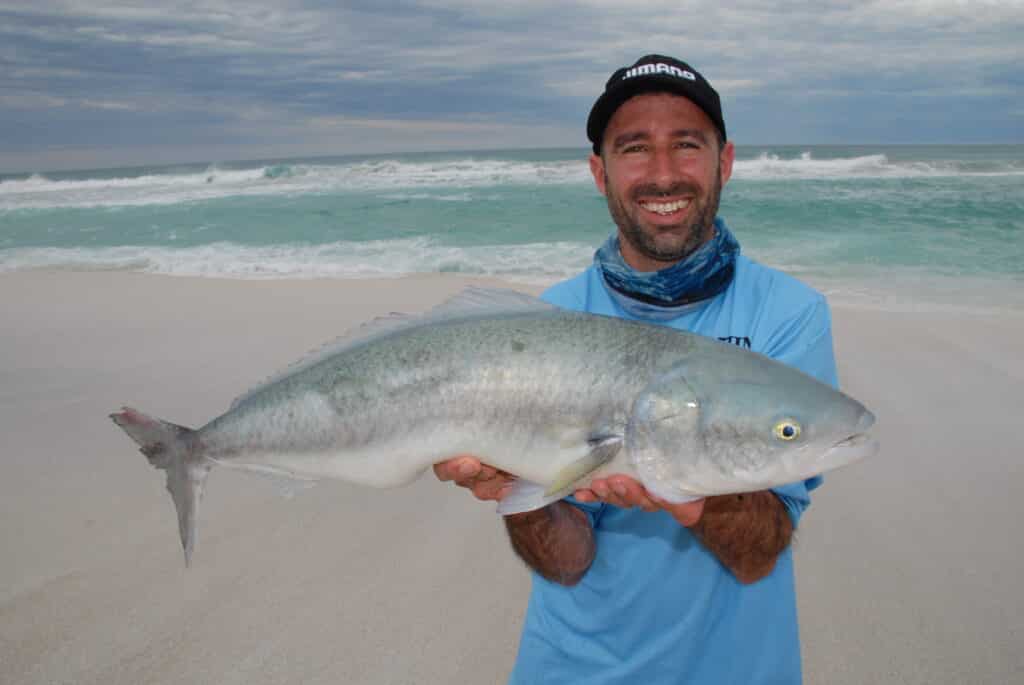 A big South Australian salmon taken in the surf.