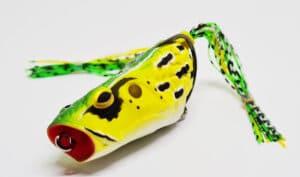 Molix Rattlin' Pop Frog