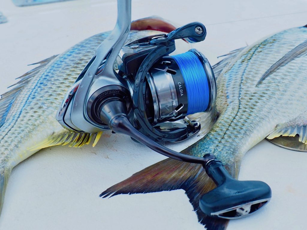 daiwa caldia lt reel Daiwa Caldia LT