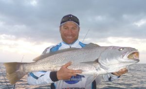 Mulloway On Bait