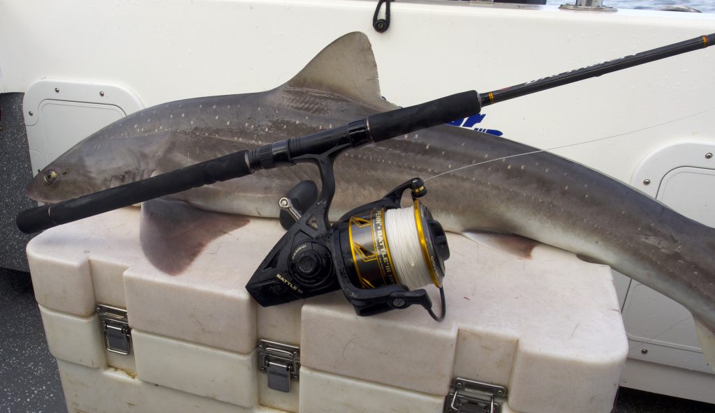 st croix rage fishing rod Fishing rod review