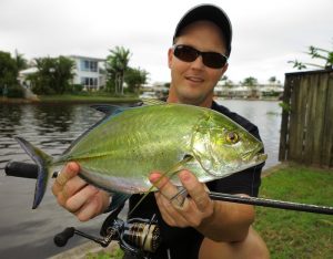 25. A canal caught Bluefin Trevally taken on a small surface walker.