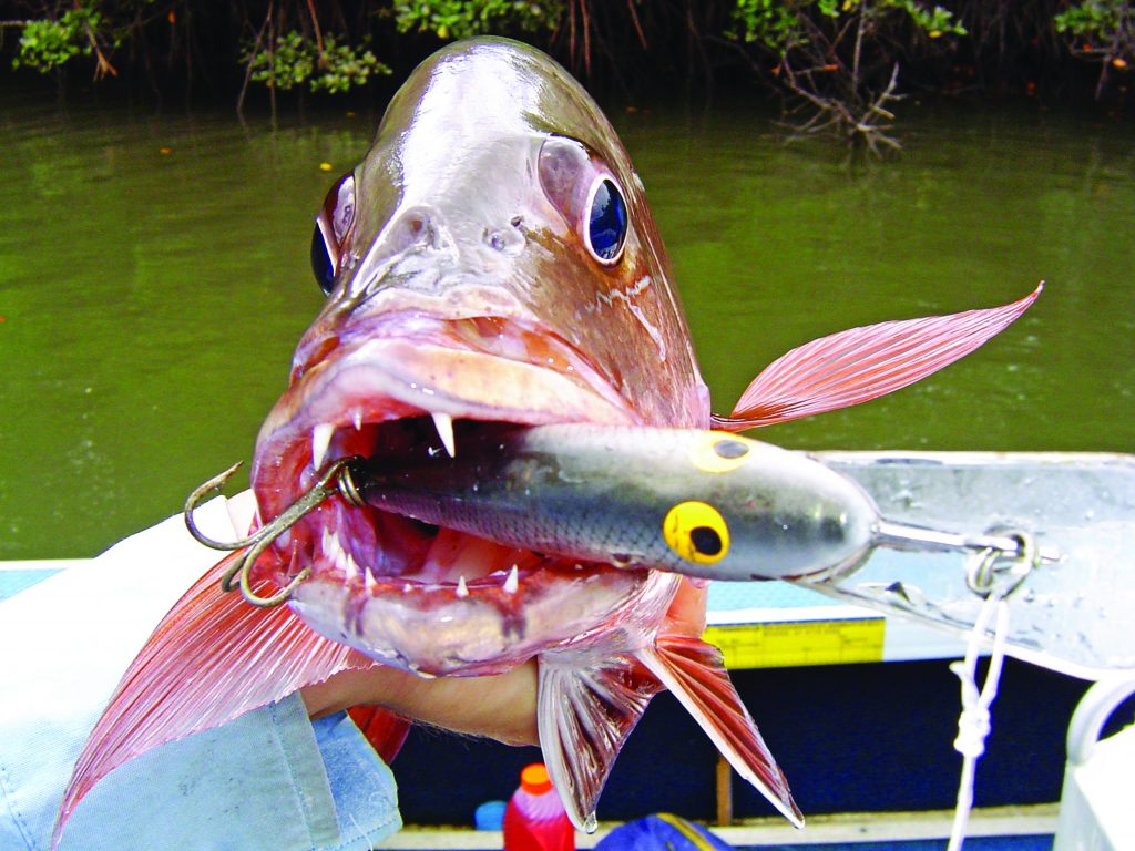 crappie fish lure Cappie Baits, Lures and Jigs, Soft Plastics for All Panfish Chartreuse Minnow Pink Belly