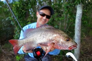 How To Catch Mangrove Jack On Plastics