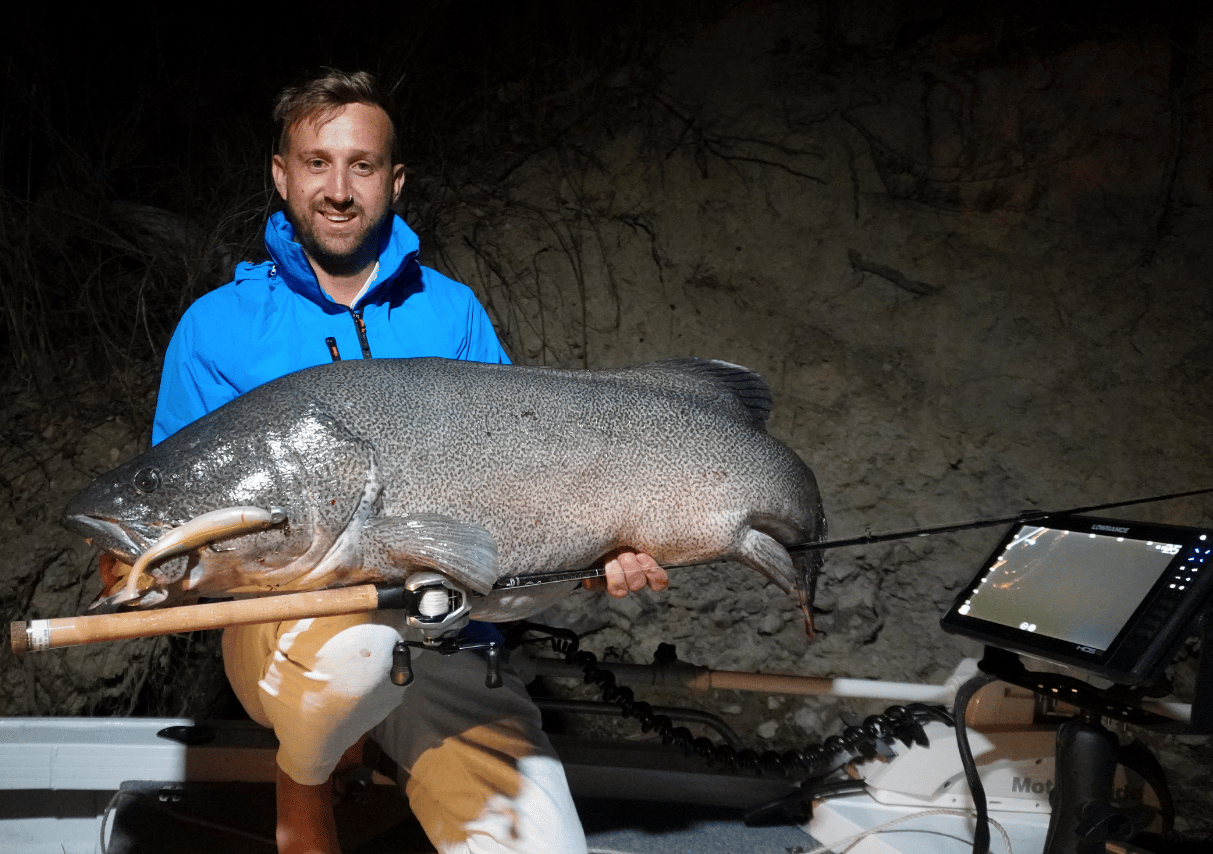 Cod Fish Side Live Using Live Sonar To Catch Cod - Hooked Up Magazine