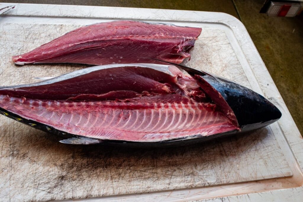 Dry aged tuna filleted on a cutting board showing firm red flesh