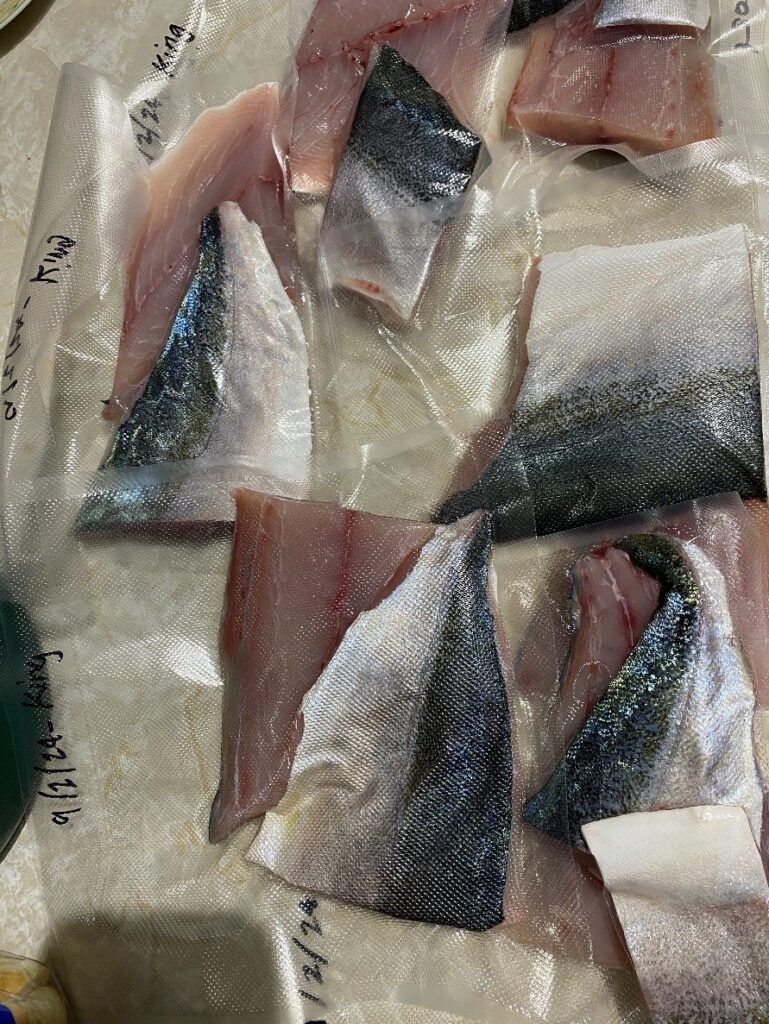Vacuum sealed portions of dry aged kingfish ready for the freezer
