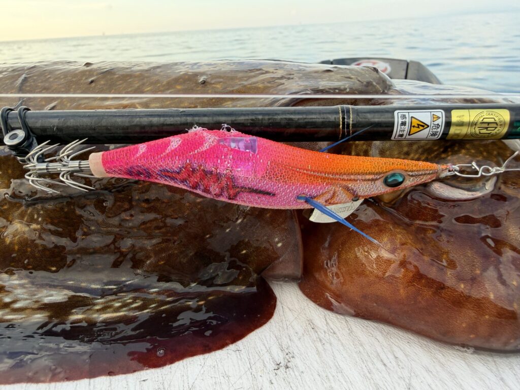 Pink and orange Yamashita EGI-OH Search Shallow squid jig resting on a catch of squid and cuttlefish