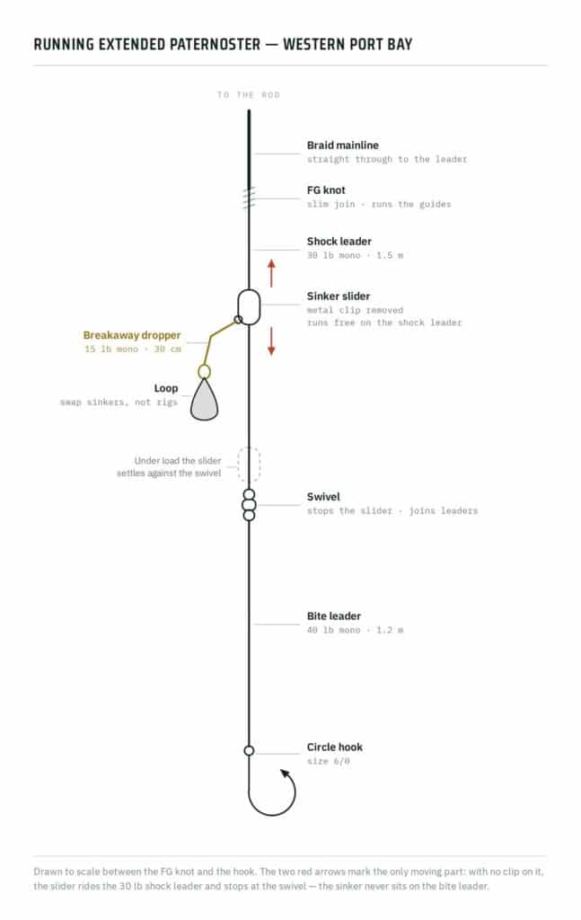 Diagram of a running extended paternoster snapper rig