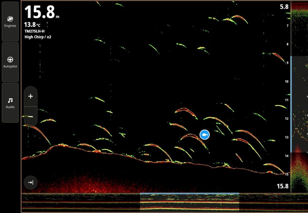 Sounder showing scattered fish arches over a channel edge