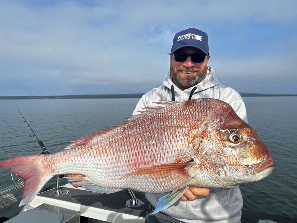 Angler holding a big red snapper caught in Westernport