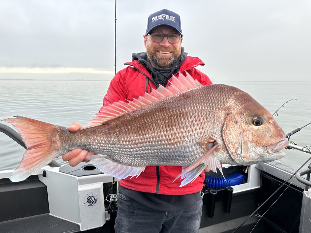 Angler holding a large Westernport snapper aboard a boat in early spring
