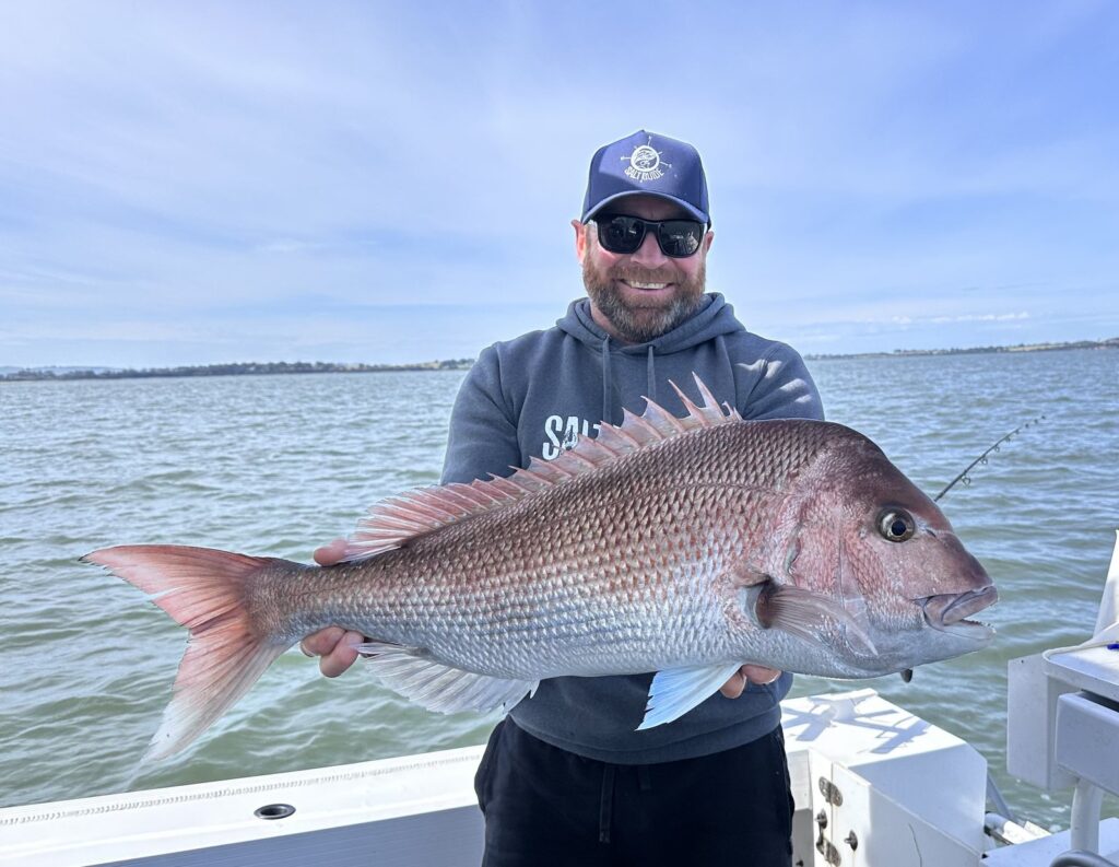 Snapper caught in the shallow upper reaches of Westernport